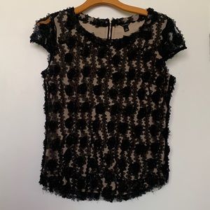 Ann Taylor Blouse